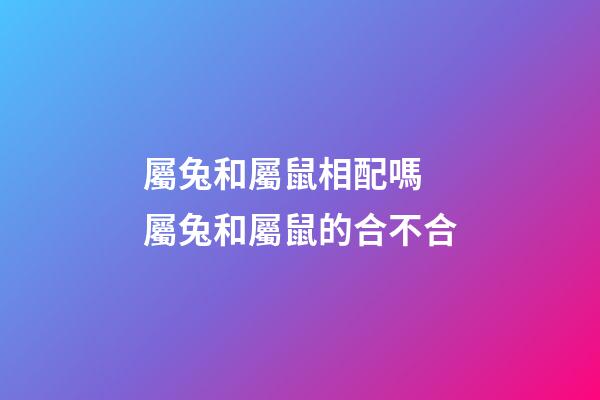 屬兔和屬鼠相配嗎 屬兔和屬鼠的合不合-第1張-觀點-玄機派